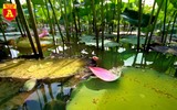 Thiếu nữ Hà thành nô nức khoe sắc cùng mùa sen nở